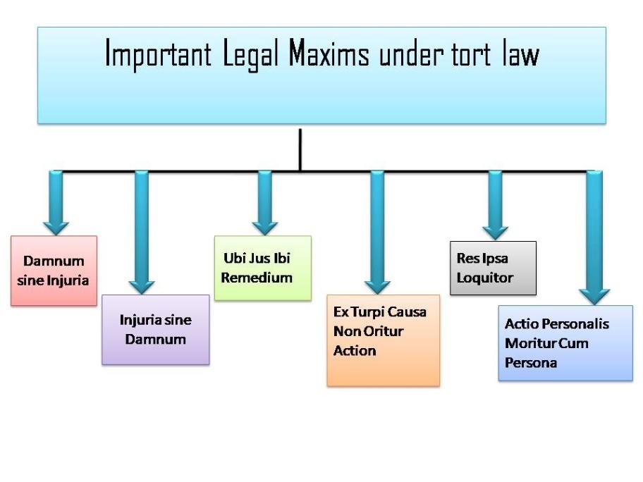 Important Legal Maxims under tort law