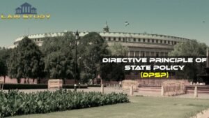 Directive Principle of State Policy (DPSP)