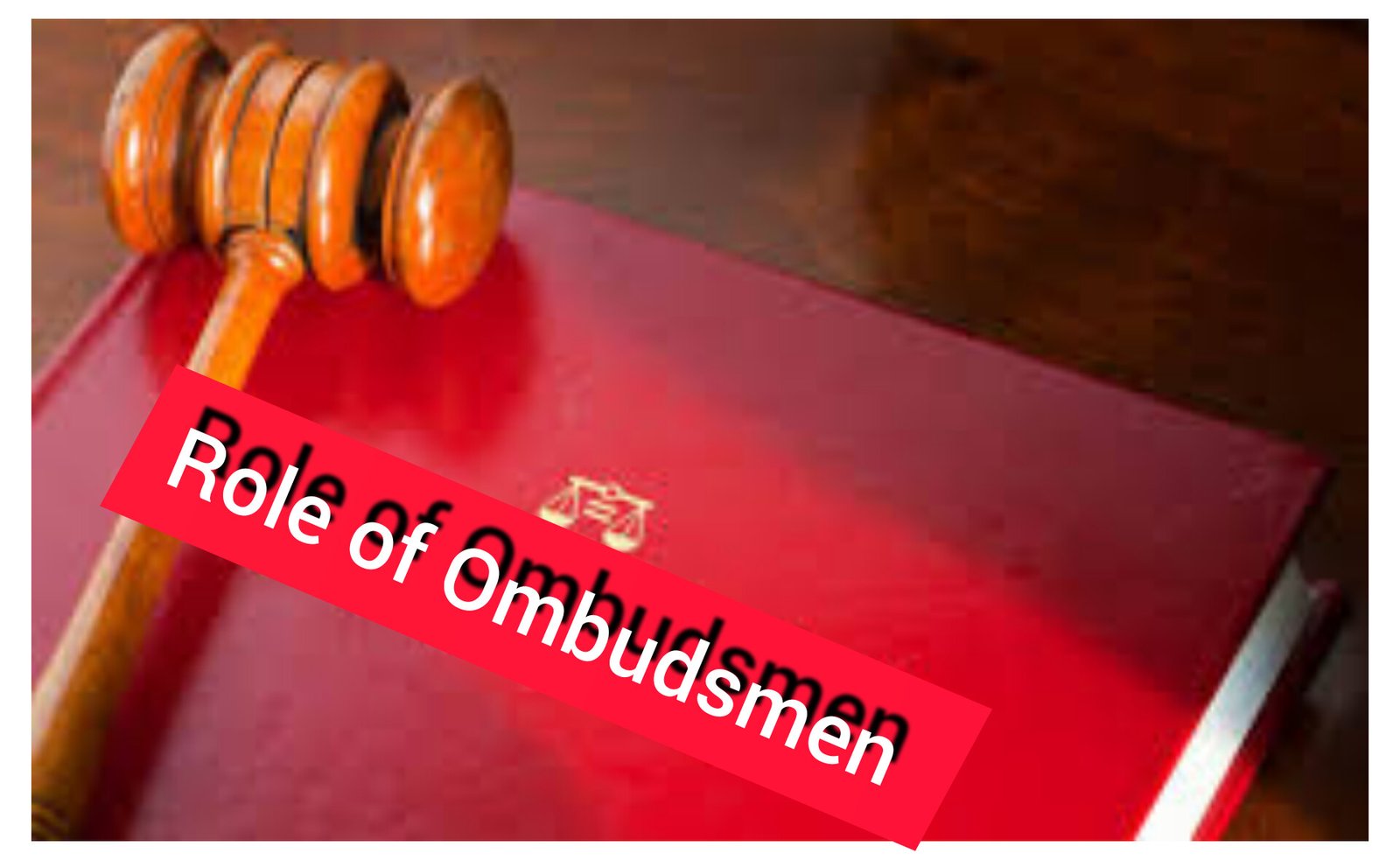 ombudsmen role