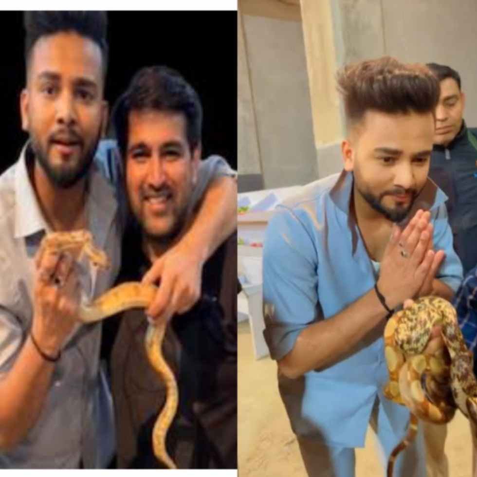snake venom case