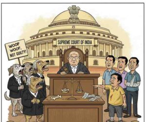 Supreme Court Considers Fixing Responsibility for Injuries and Deaths Caused by Stray Dogs